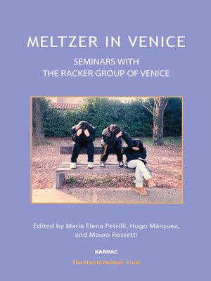 cover image of Meltzer in Venice